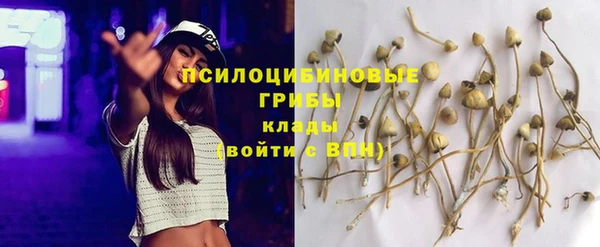 трава Баксан