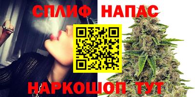 бошки Краснодар