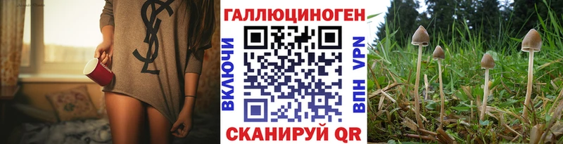 дарк нет наркотические препараты  Усть-Джегута  Галлюциногенные грибы Psilocybine cubensis  магазин   