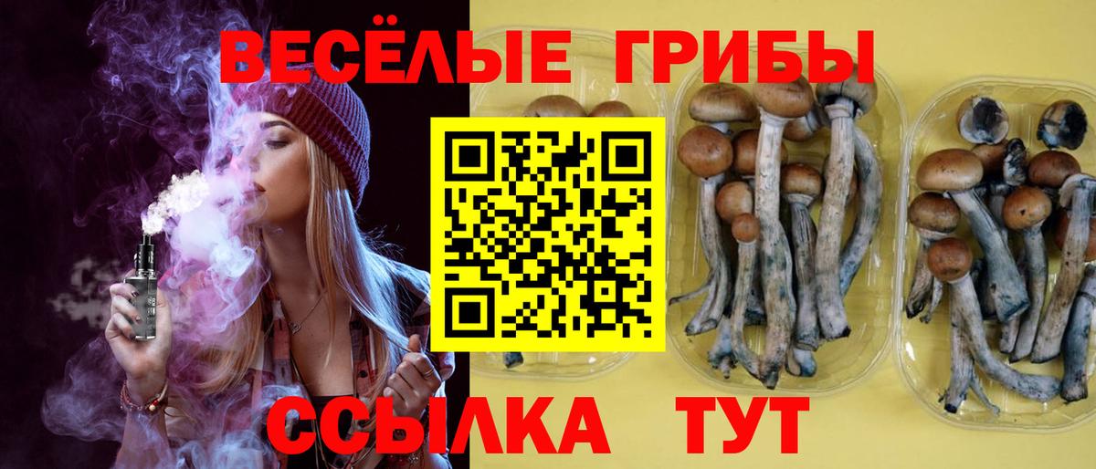 Галлюциногенные грибы прущие грибы  Вход с VPN  Галлюциногенные грибы Magic Shrooms  Усть-Джегута 