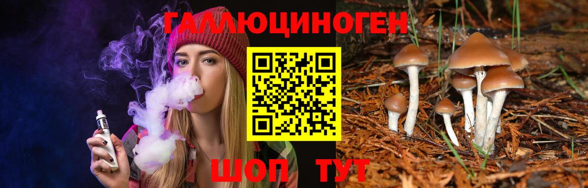 Псилоцибиновые грибы Psilocybine cubensis Усть-Джегута