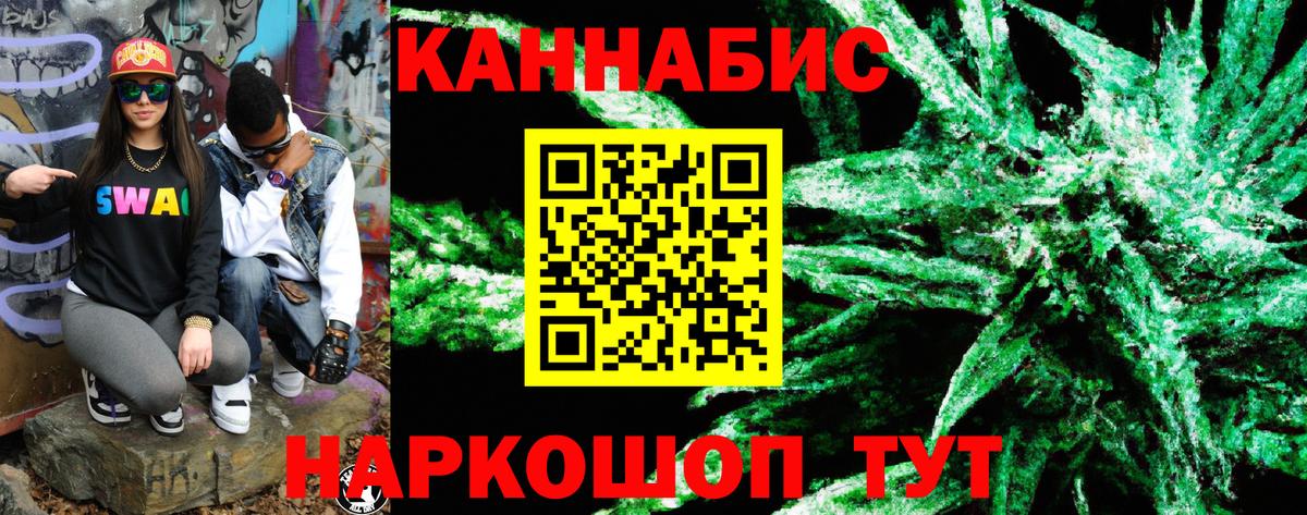 Канабис план Усть-Джегута